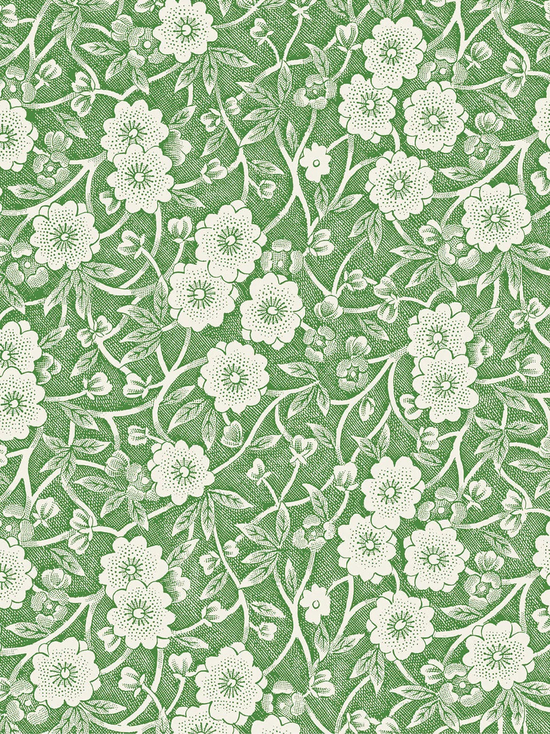 Green Calico Hester & Cook Cocktail Napkins