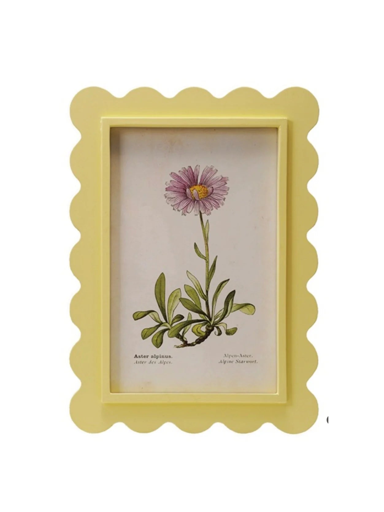 Yellow Squiggle Framed Floral Print