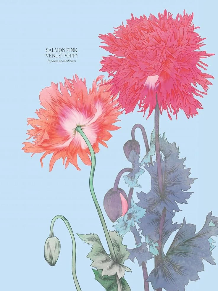 Petal - The World of Flowers Through an Artist's Eye Book