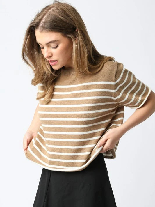 Nicole Stripe Knit Top