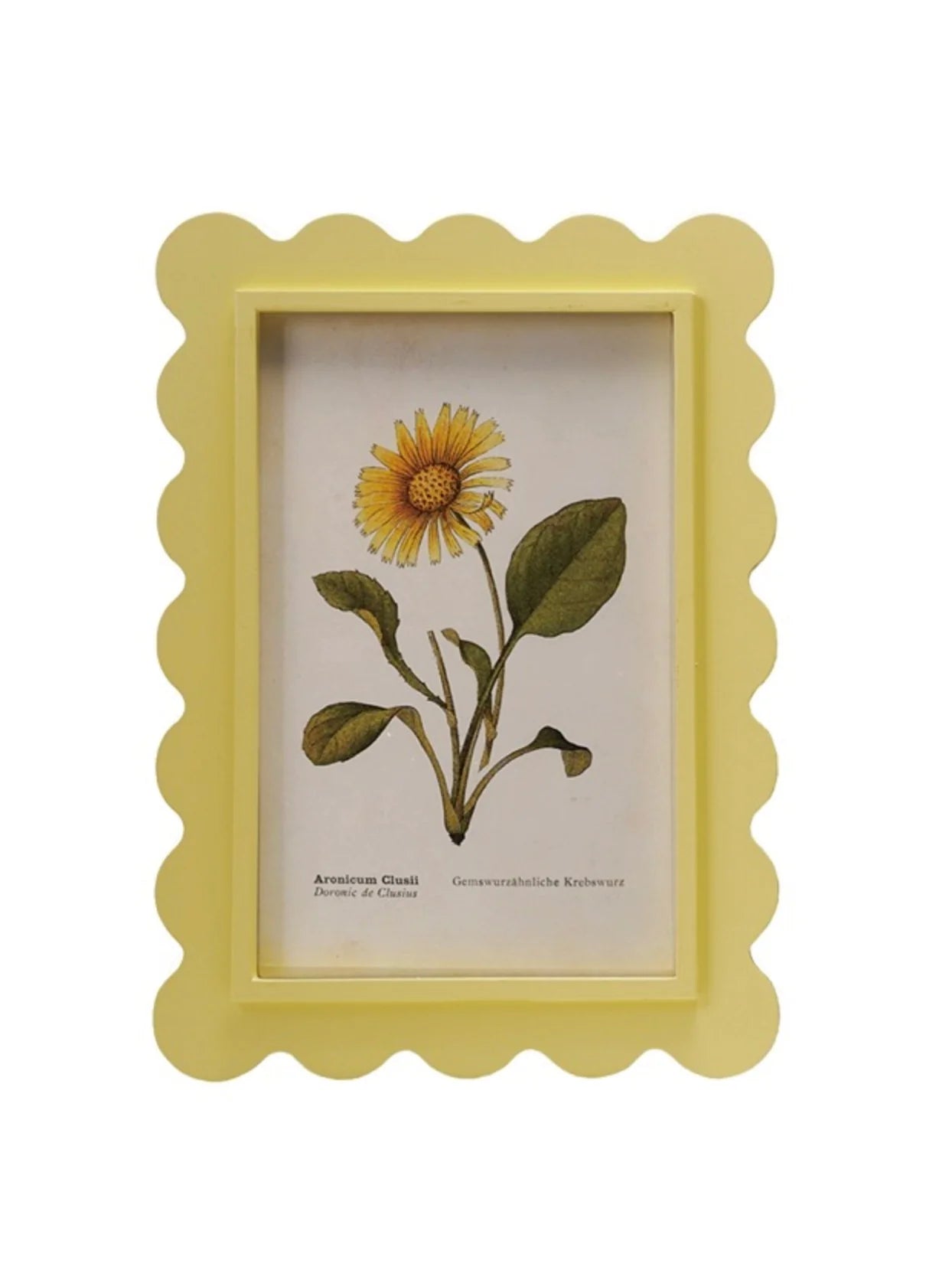 Yellow Squiggle Framed Floral Print