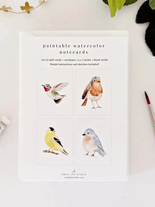 Emily Lex Paintable Notecards