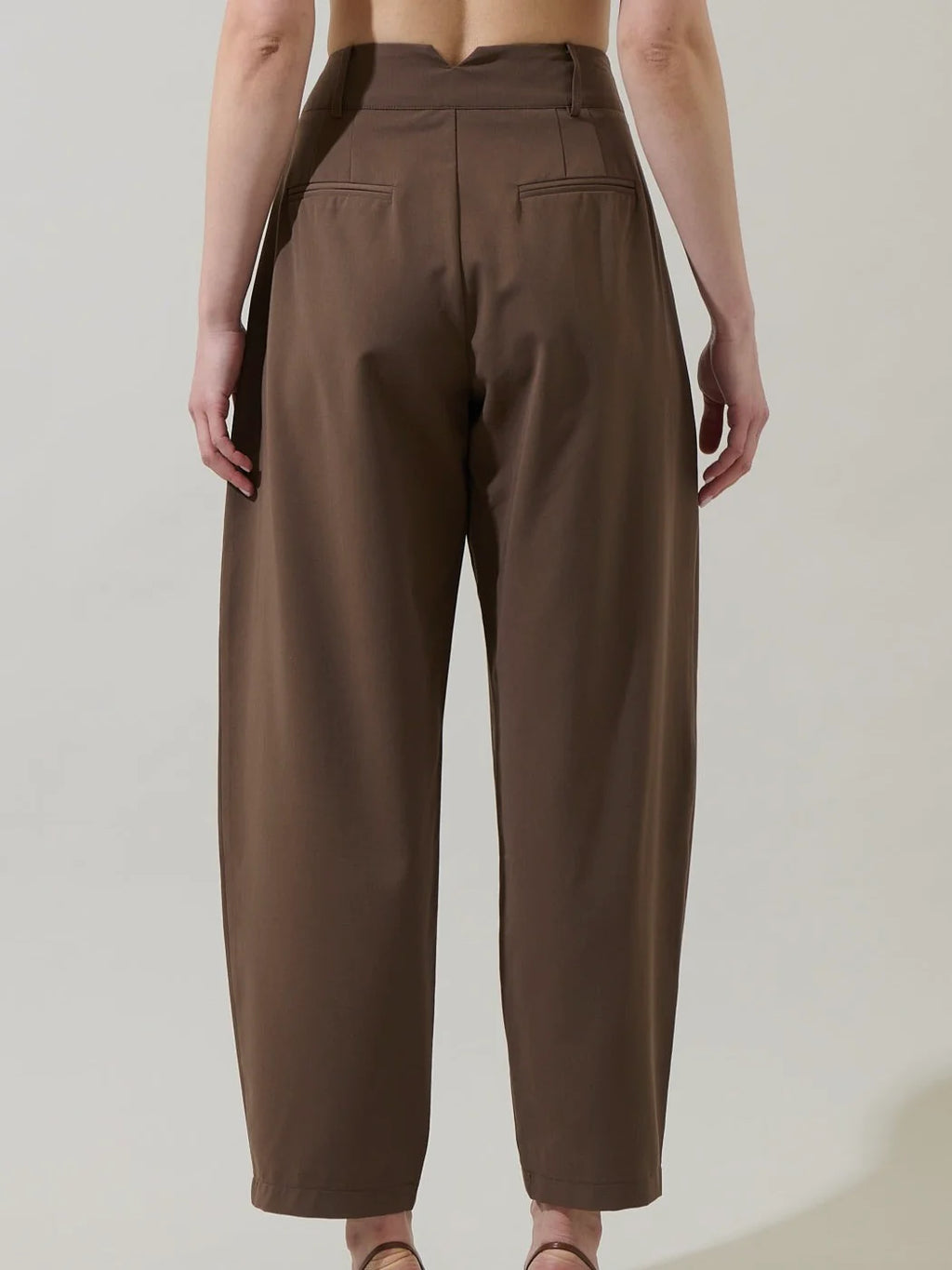 Vivienne Pleated Barrel Pants