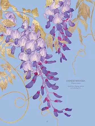 Petal - The World of Flowers Through an Artist's Eye Book