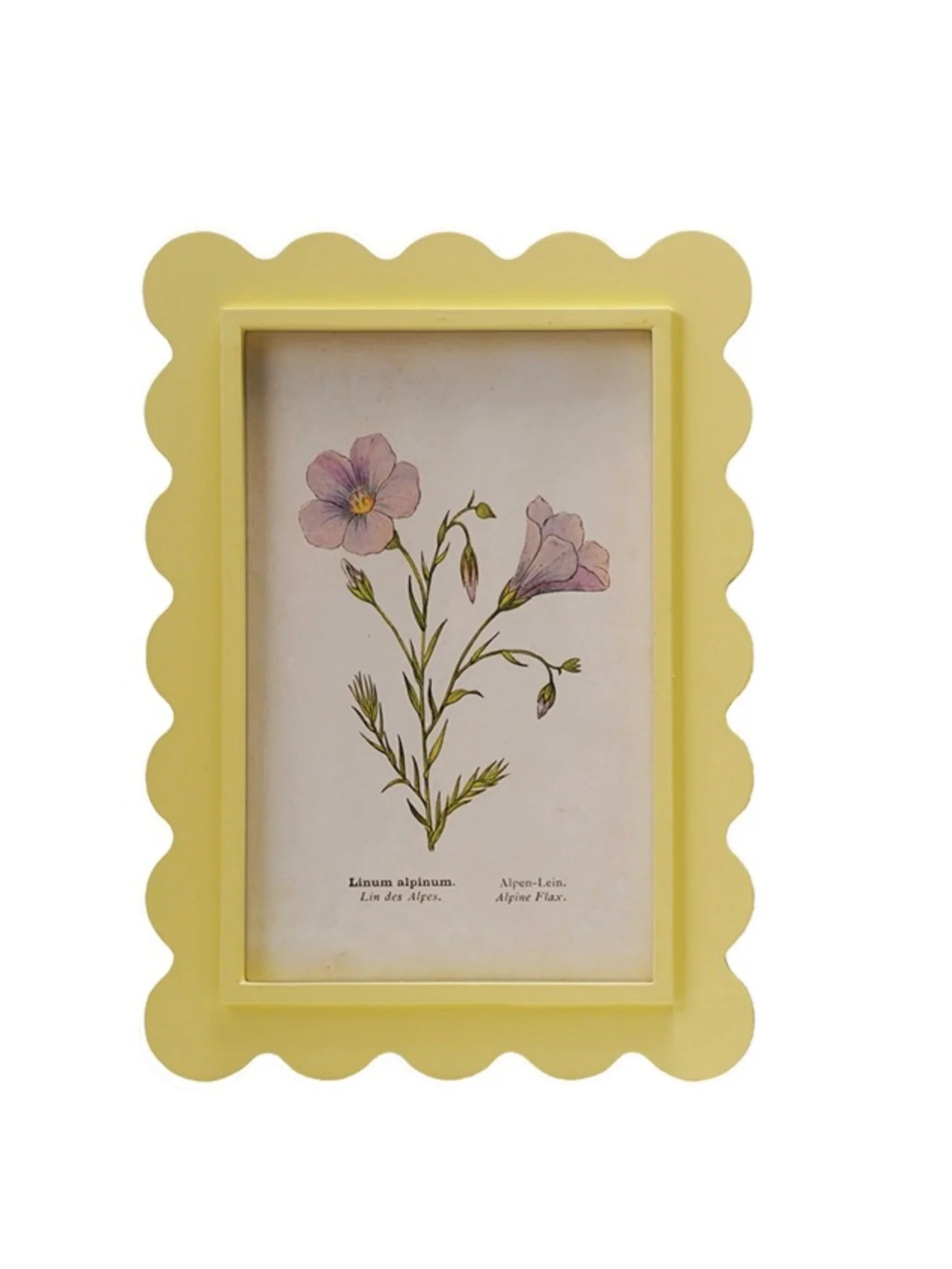 Yellow Squiggle Framed Floral Print